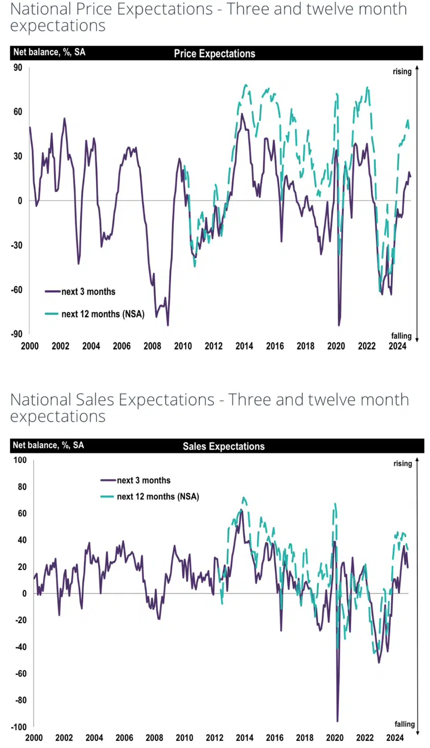 RICS residential market survery sales expectations nov 2024